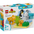 Klocki LEGO 10442 Rodziny dzikich zwierząt - pingwiny i lwy DUPLO